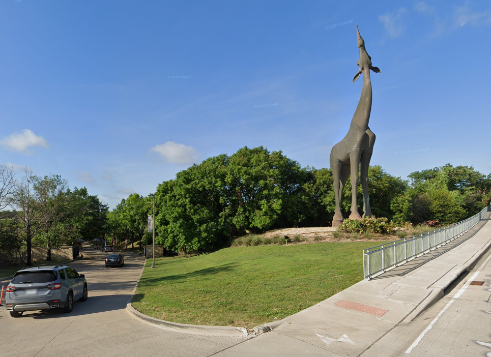 trees at the Dallas Zoo